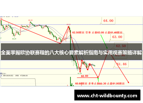 全面掌握欧协联赛程的八大核心要素解析指南与实用观赛策略详解